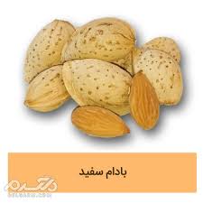 بادام سنگی با کیفیت عالی + خرید عمده